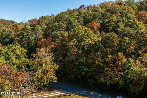 $79,900 | Strong Hollow Lane, Rocky Top, TN 37769