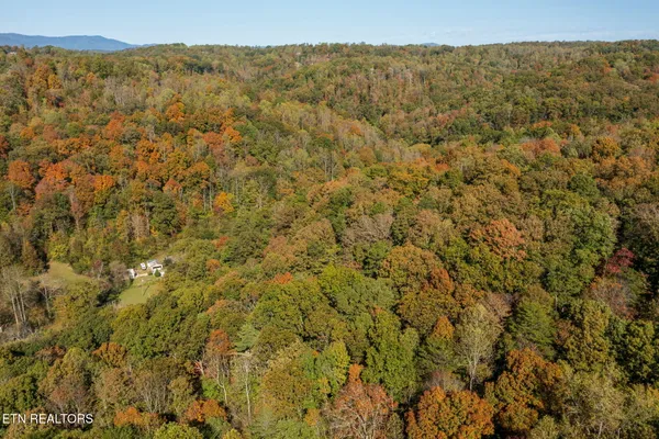 $79,900 | Strong Hollow Lane, Rocky Top, TN 37769