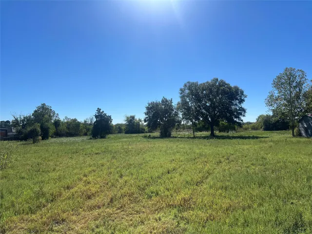a view of a field with trees in background