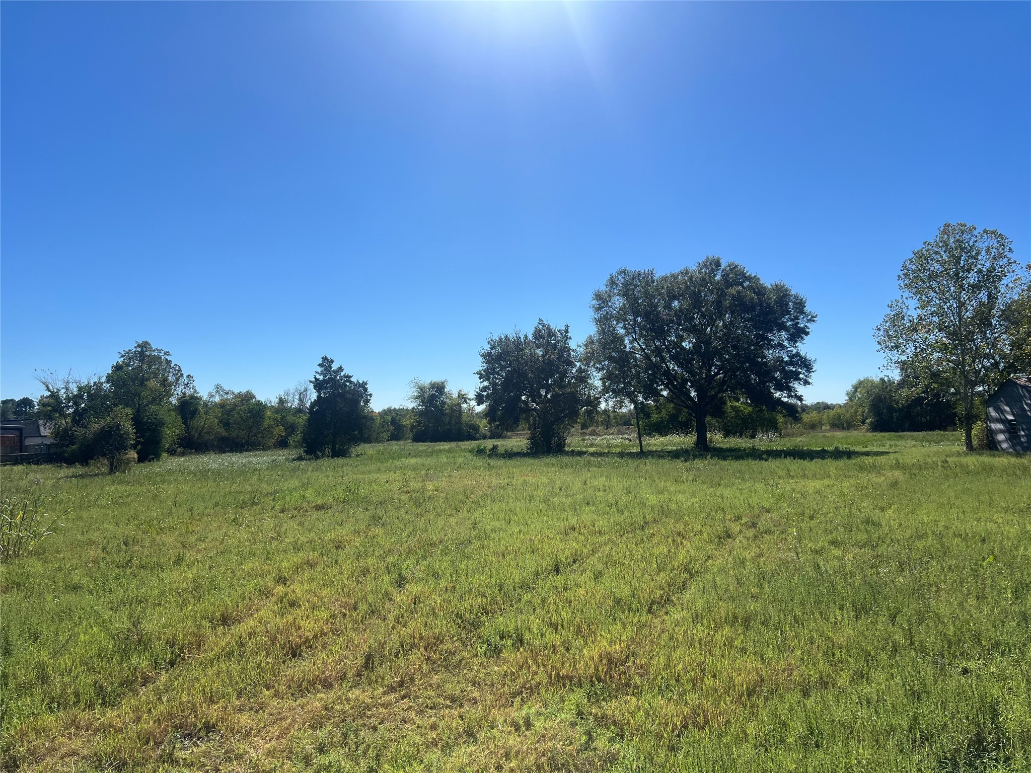 16839 Grant Road Cypress, TX 77429 - Photo 1 of 15 a view of a field with trees in background