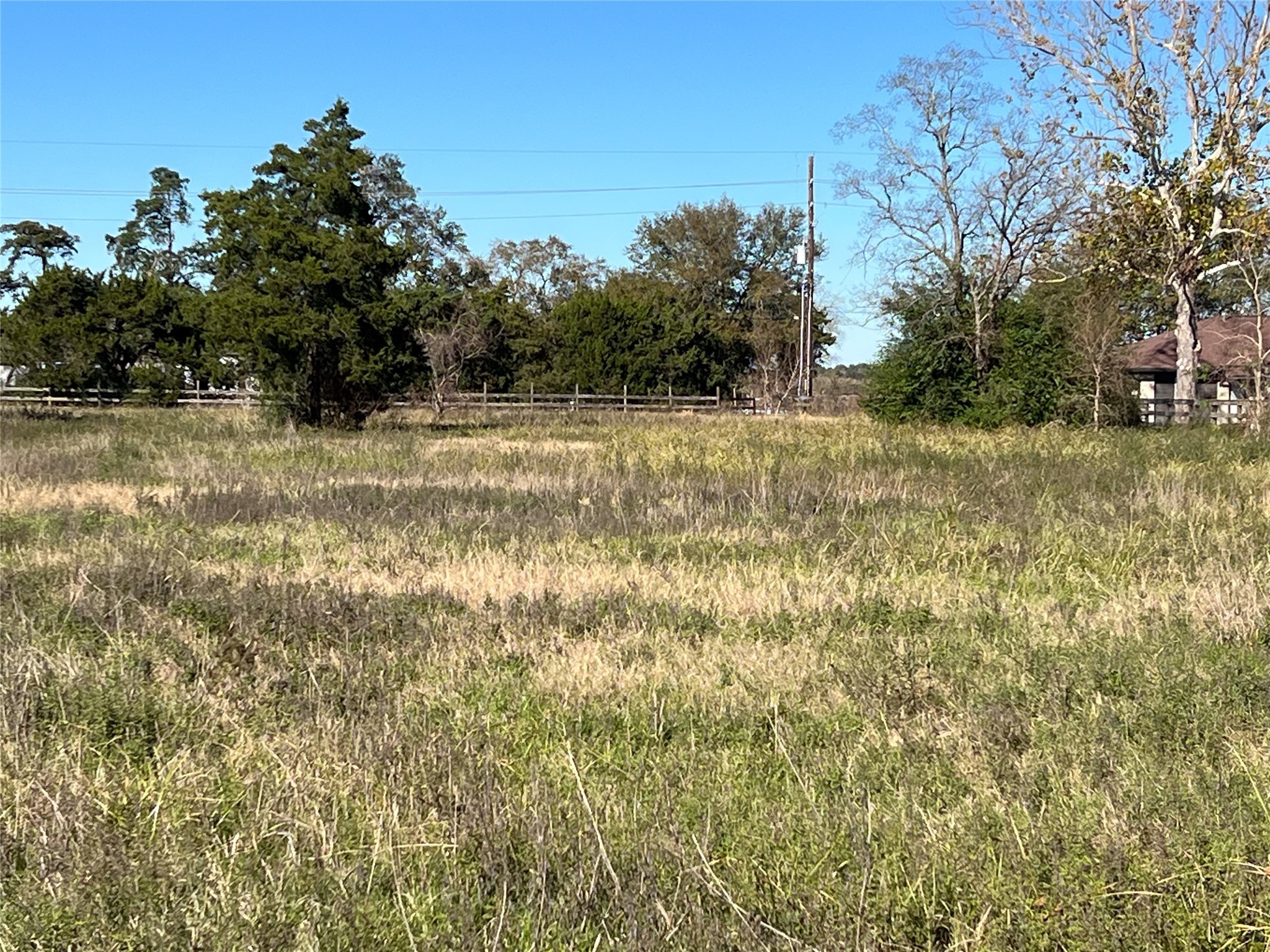 16839 Grant Road Cypress, TX 77429 - Photo 12 of 15 a view of a yard