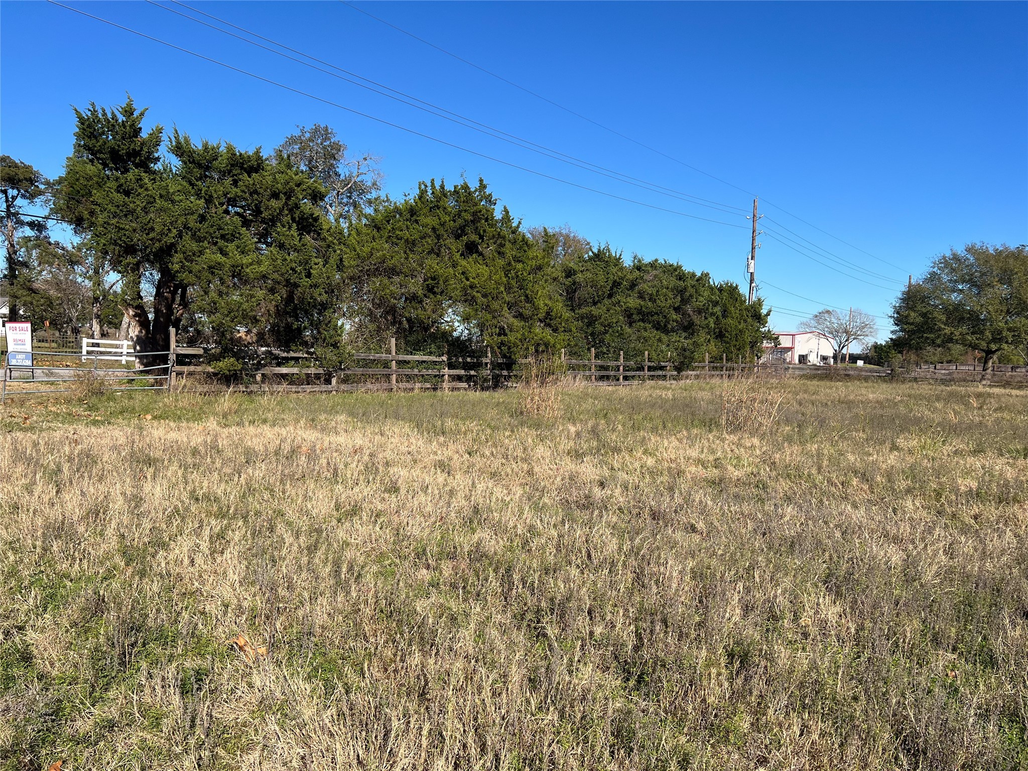 16839 Grant Road Cypress, TX 77429 - Photo 13 of 15 a view of a yard with an trees