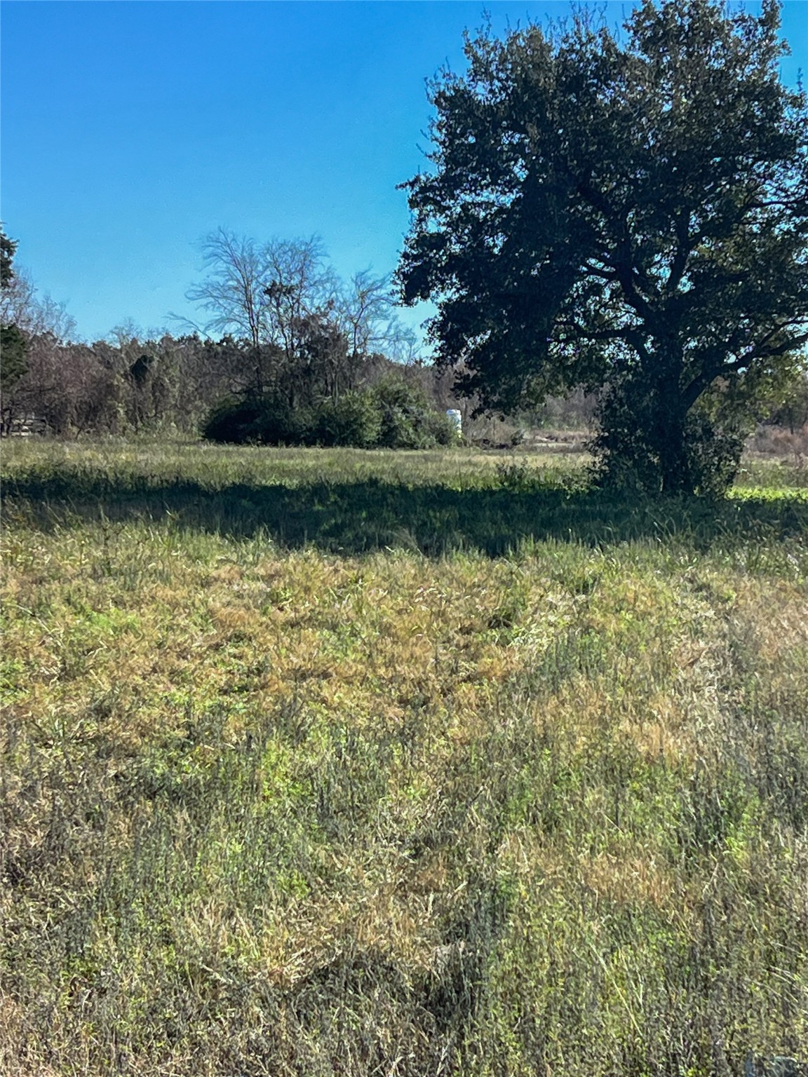 16839 Grant Road Cypress, TX 77429 - Photo 2 of 15 a view of a lake with houses