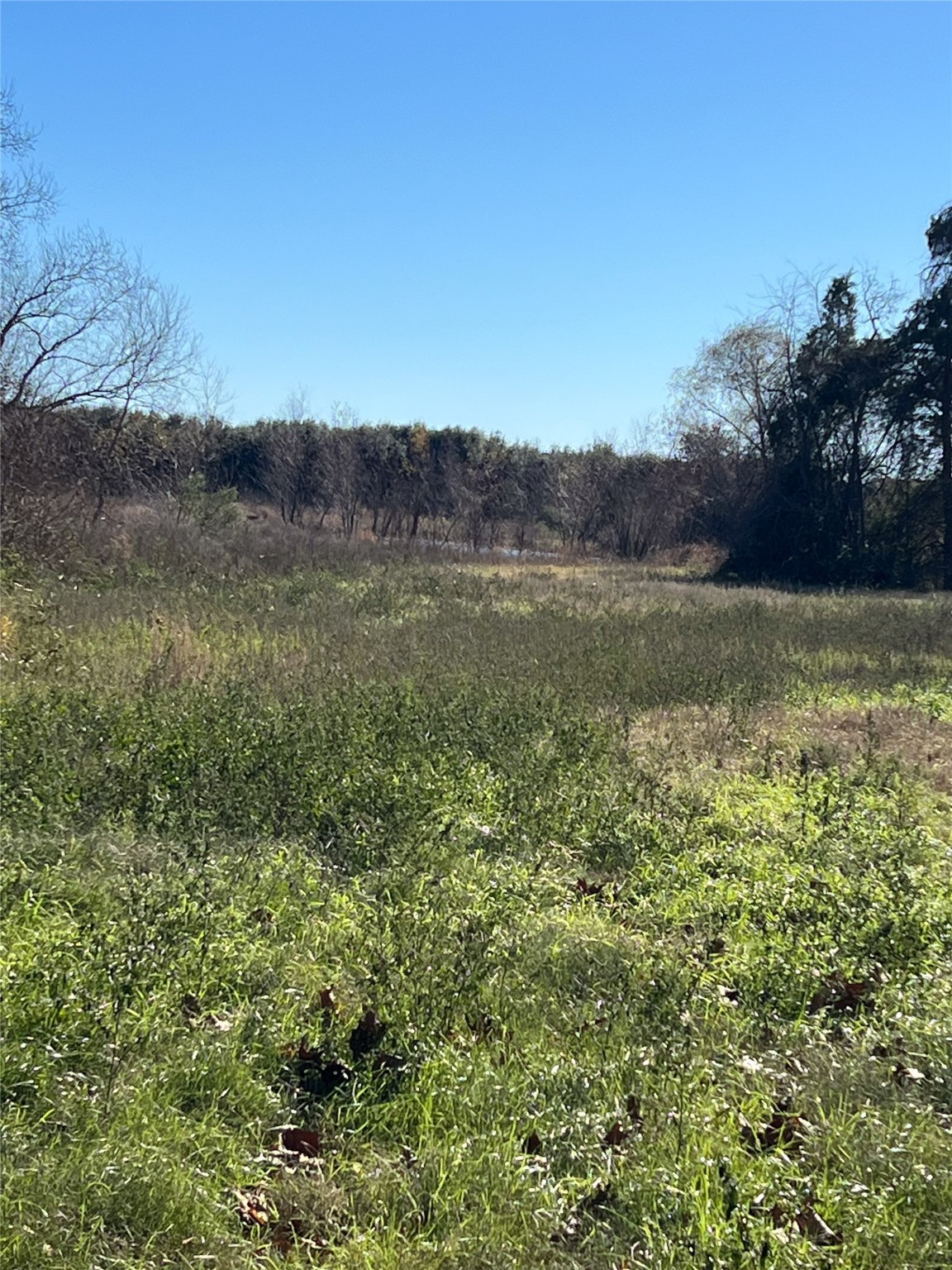 16839 Grant Road Cypress, TX 77429 - Photo 5 of 15 a view of a lake with a mountain