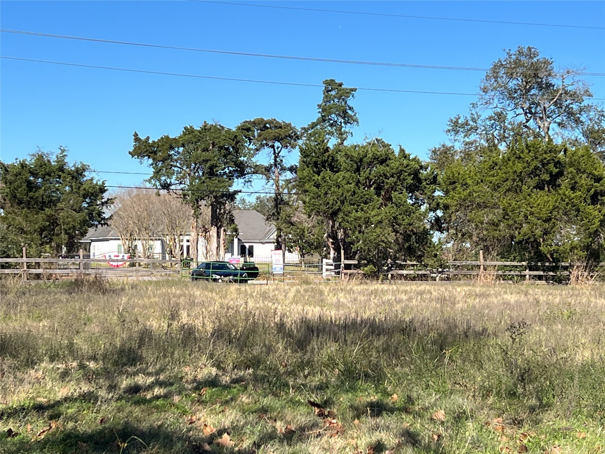16839 Grant Road Cypress, TX 77429 - Photo 7 of 15 a view of a yard with a tree