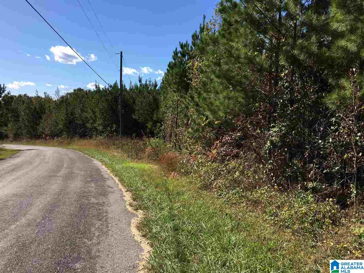 0 Rocky Rdg Road, Unit 25 A & B PLUS 26 Odenville, AL 35120 - Photo 3 of 4
