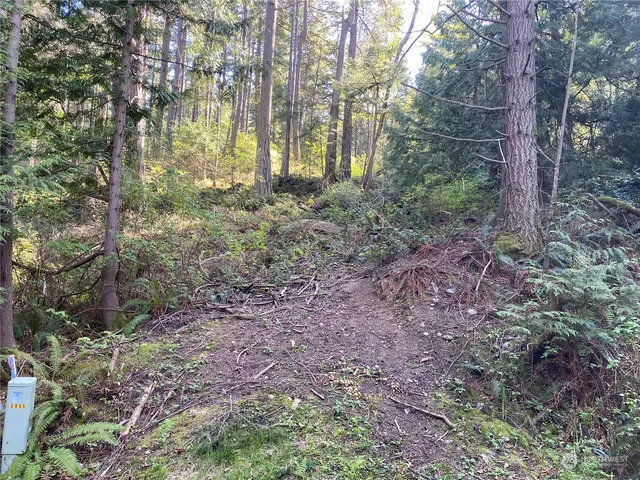 a view of outdoor space and green space