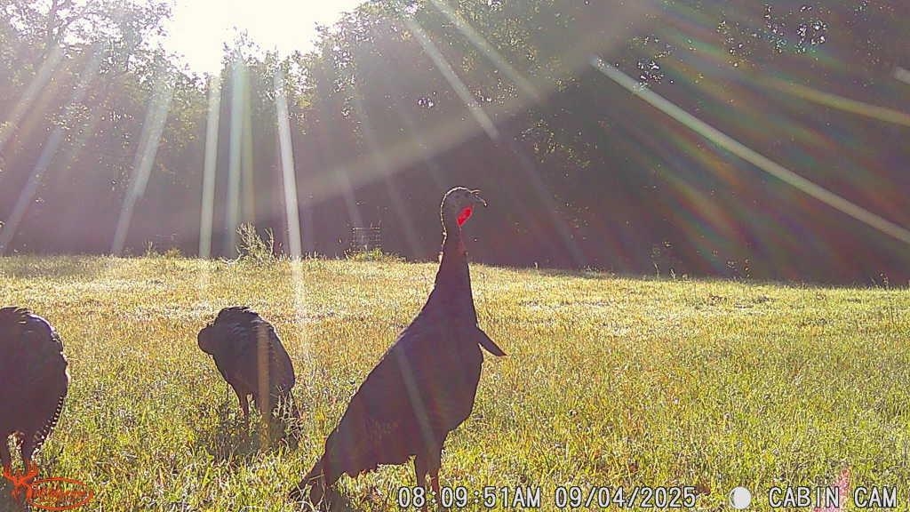 14094 Three Mile Road Savanna, IL 61074 - Photo 17 of 22 a view of a swimming pool