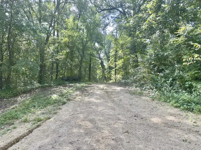 a view of outdoor space and trees