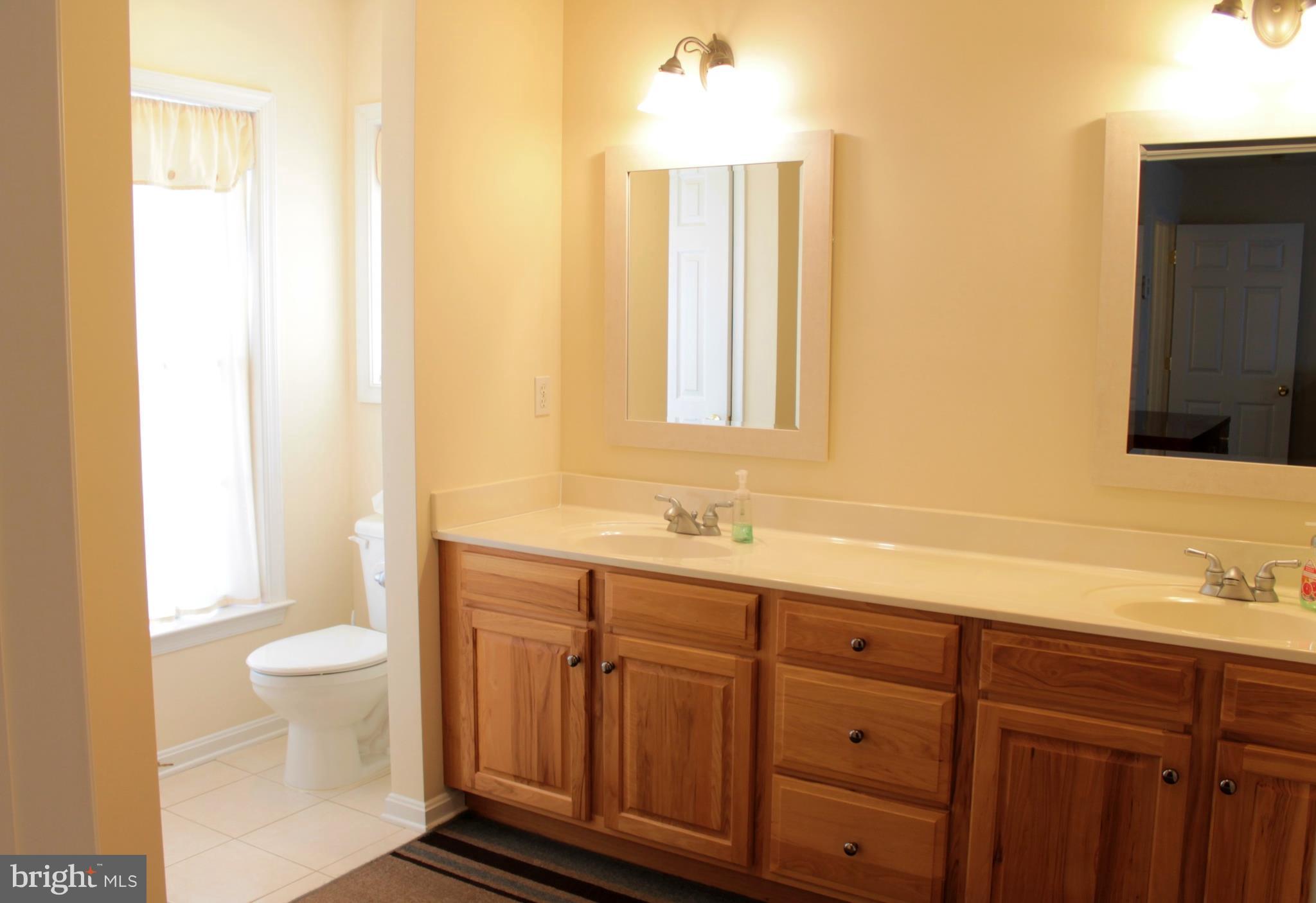 23934 Foxville Road Smithsburg, MD 21783 - Photo 25 of 30 Bath (Master)
