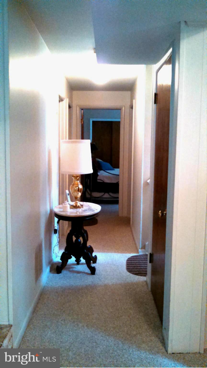 1141 Pinch Valley Road Westminster, MD 21158 - Photo 16 of 24 Lower Level Hallway