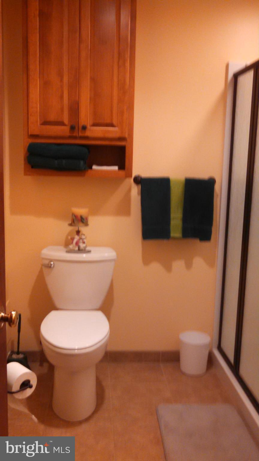 1141 Pinch Valley Road Westminster, MD 21158 - Photo 18 of 24 Remodeled Bath