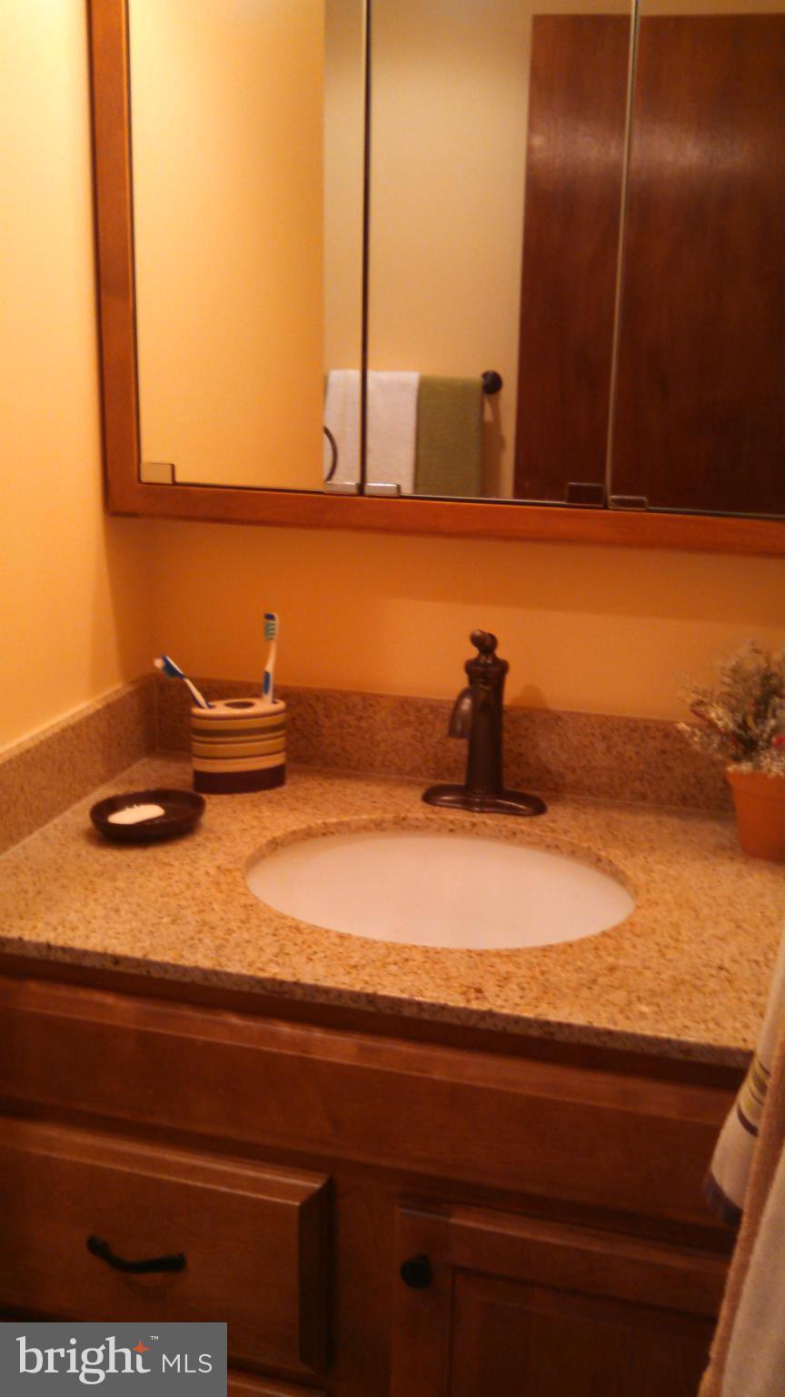 1141 Pinch Valley Road Westminster, MD 21158 - Photo 19 of 24 Remodeled Bath