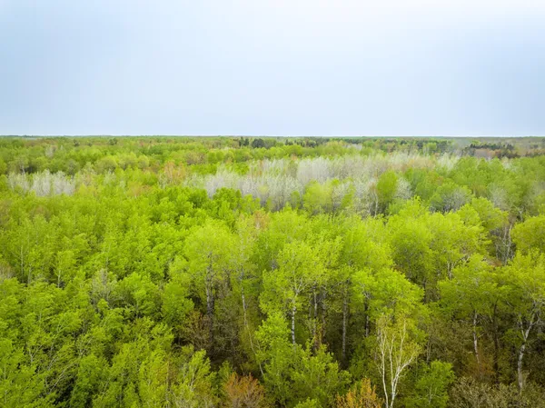$750,000 | 1909 Co Highway 61, Sandstone, MN 55072