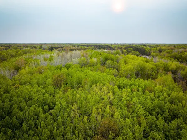 $750,000 | 1909 Co Highway 61, Sandstone, MN 55072
