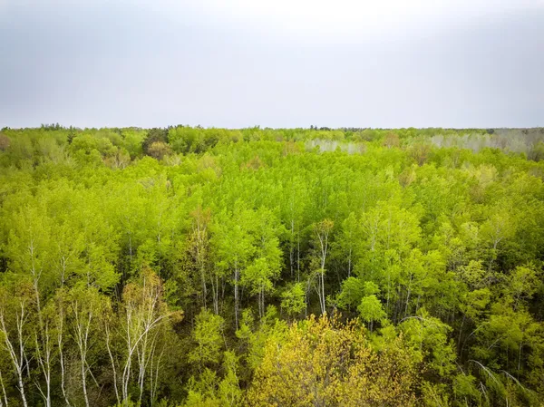 $750,000 | 1909 Co Highway 61, Sandstone, MN 55072