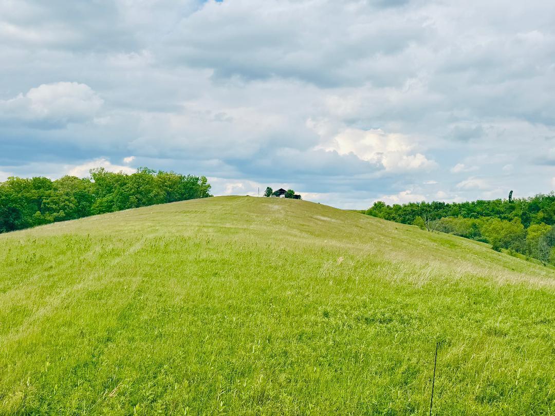 Ridge