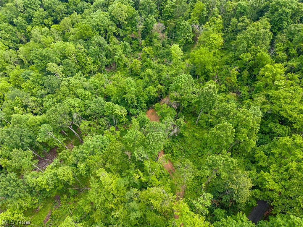 Kinnen Road Caldwell, OH 43724 - Photo 34 of 37