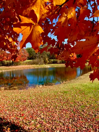 $1,250,000 | 1246 Rose Center Road, Fenton, MI 48430