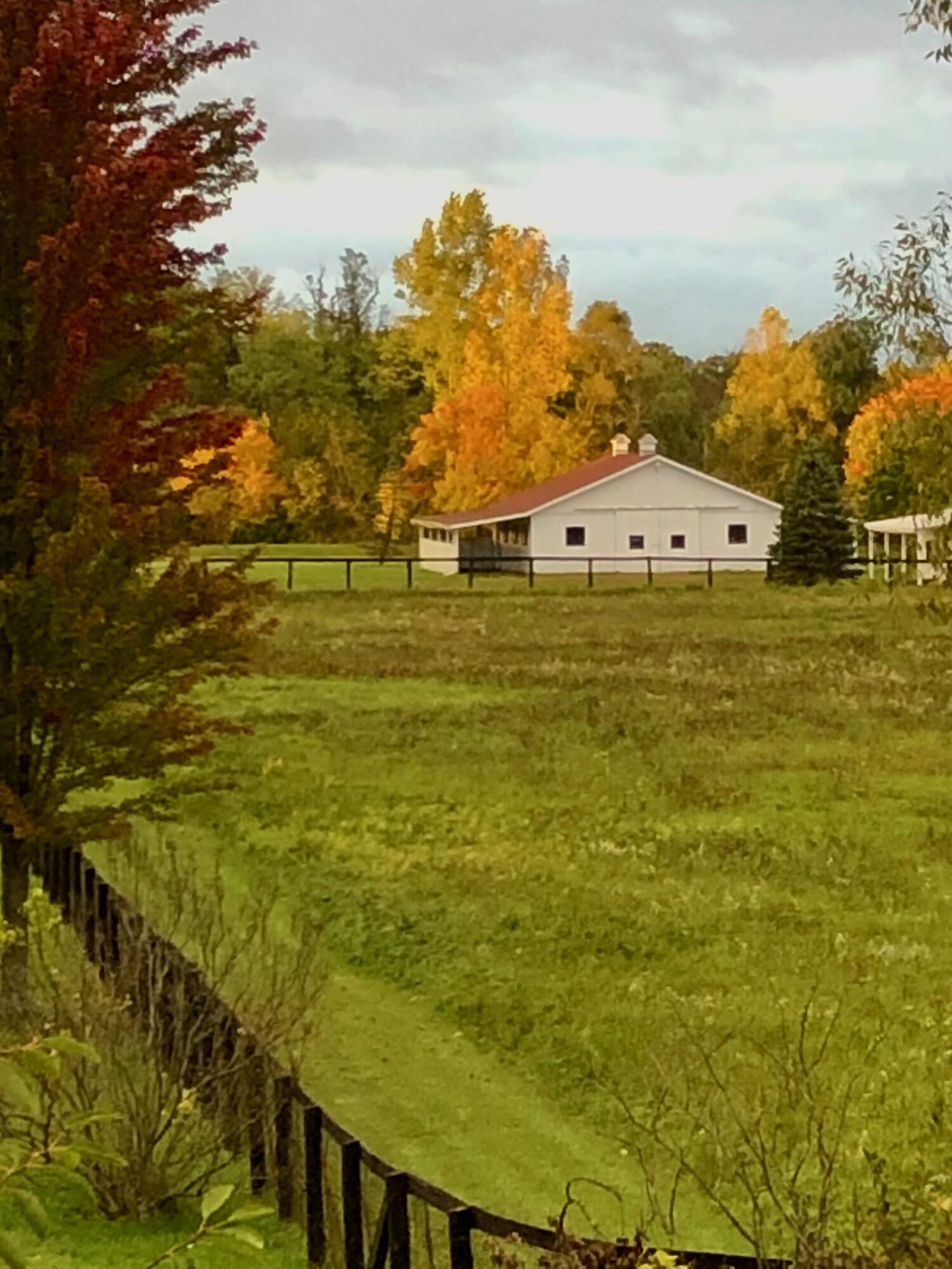 1246 Rose Center Road Fenton, MI 48430 - Photo 109 of 133 Barn_fall