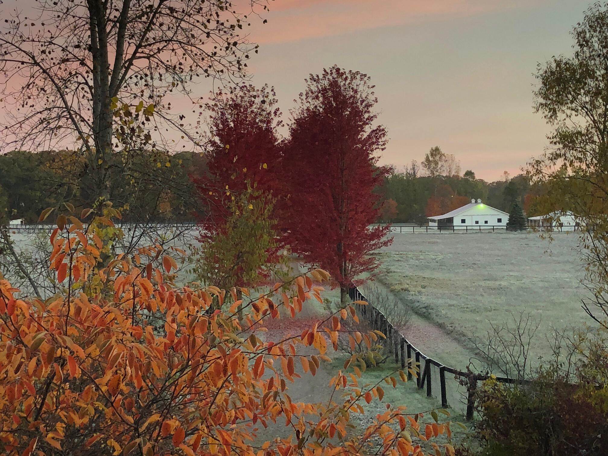 1246 Rose Center Road Fenton, MI 48430 - Photo 111 of 133 Barn_dusk