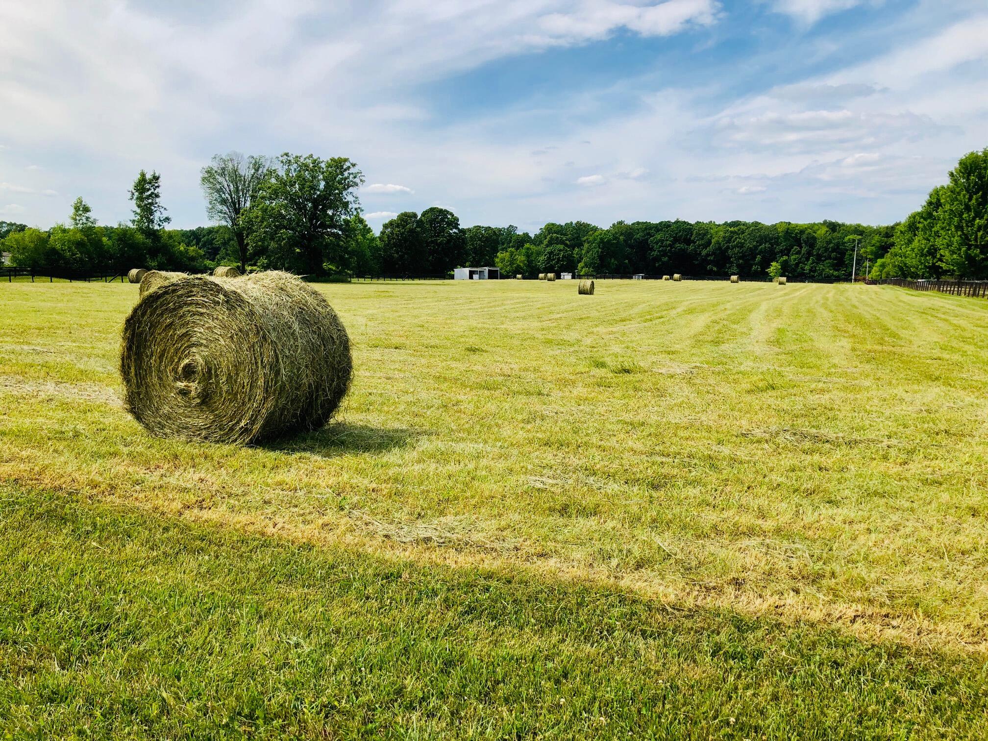 1246 Rose Center Road Fenton, MI 48430 - Photo 112 of 133 Round_bales