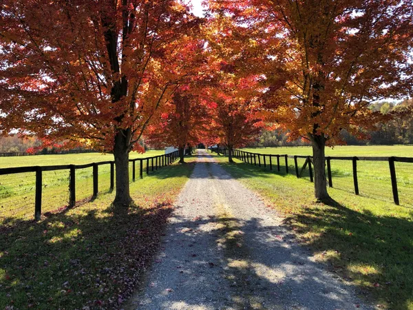 $1,250,000 | 1246 Rose Center Road, Fenton, MI 48430