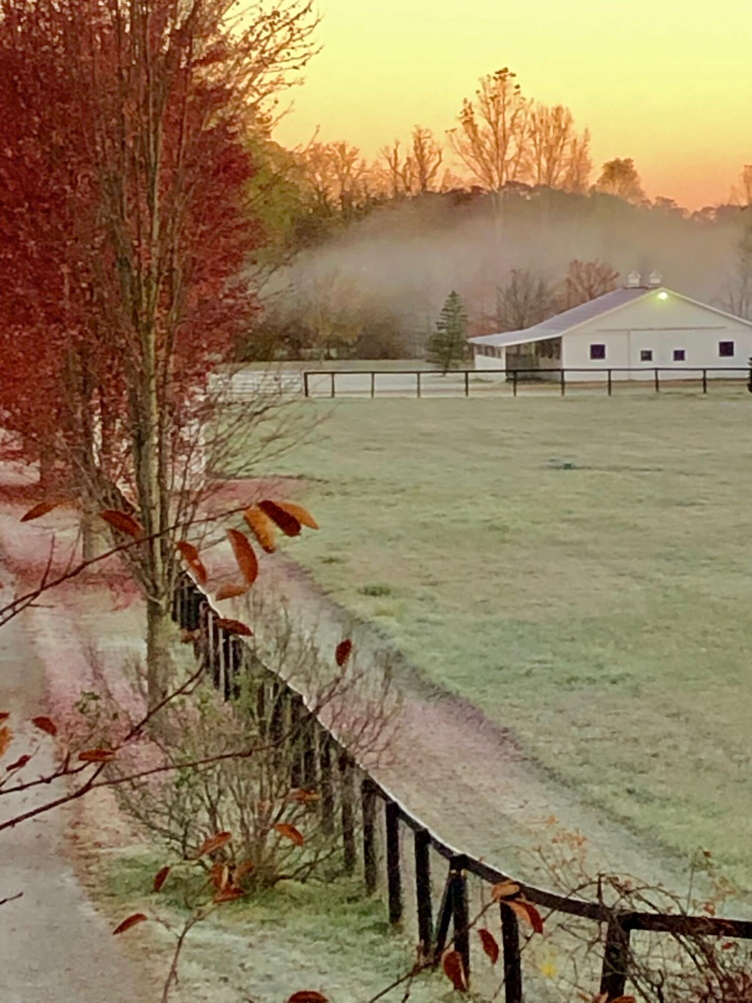 1246 Rose Center Road Fenton, MI 48430 - Photo 126 of 133 Barn_fog