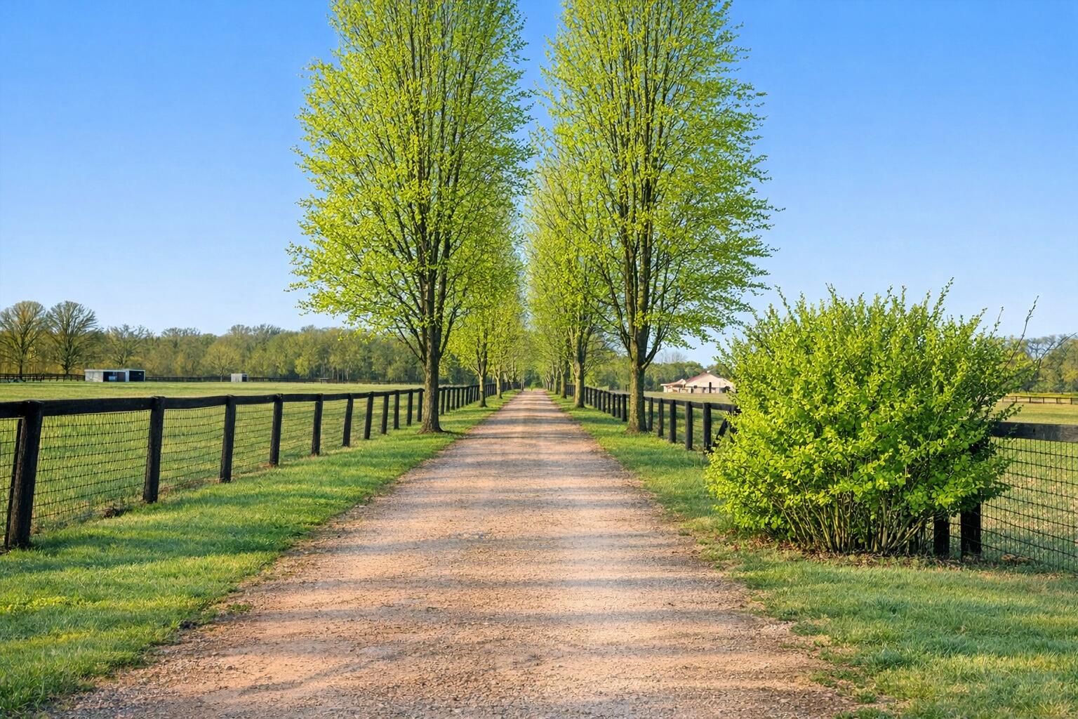1246 Rose Center Road Fenton, MI 48430 - Photo 3 of 133 Driveway spring