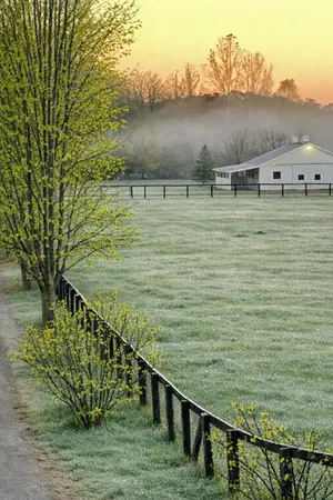 $1,250,000 | 1246 Rose Center Road, Fenton, MI 48430