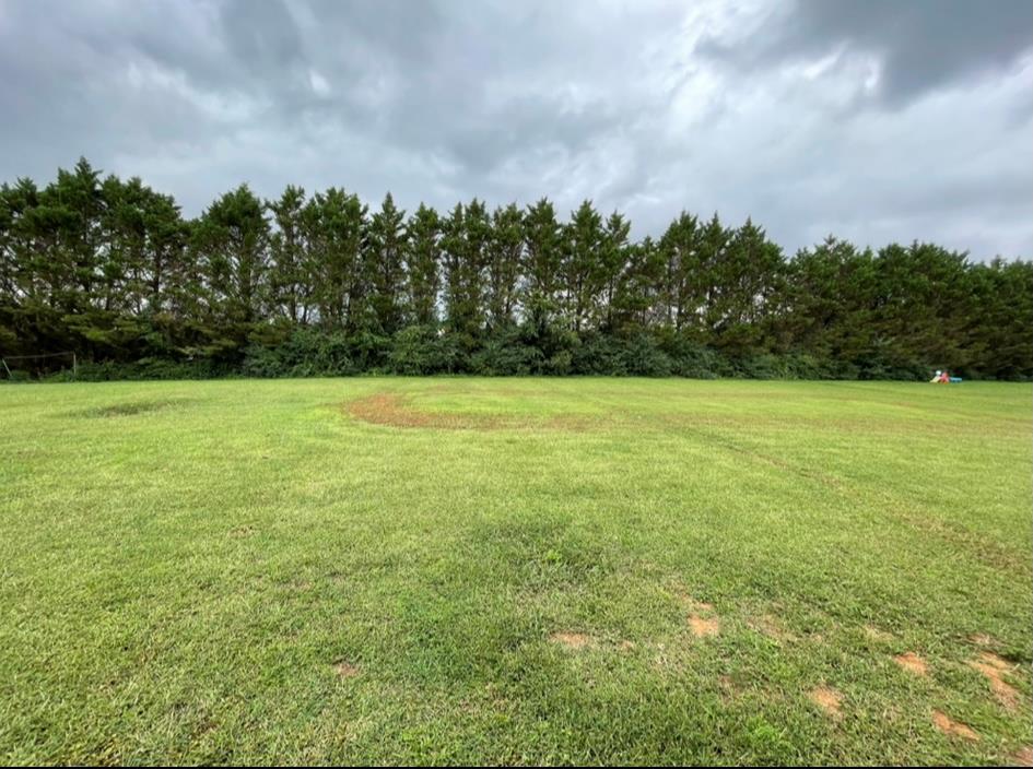 506 Wynfield Drive Dalton, GA 30721 - Photo 20 of 20 Gallery Image 20
