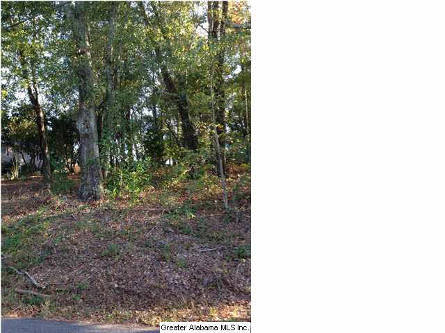 Pine Harbor Road, Unit 12 Pell City, AL 35128 - Photo 2 of 9
