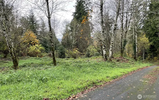 a big yard with lots of green space and deers