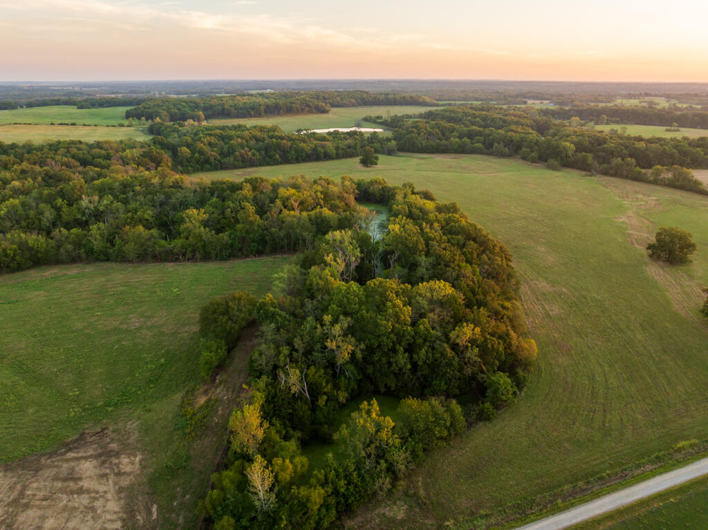 2395 Southwest County Road Hume, MO 64752 - Photo 13 of 81 Bates 50 (MLS)--14