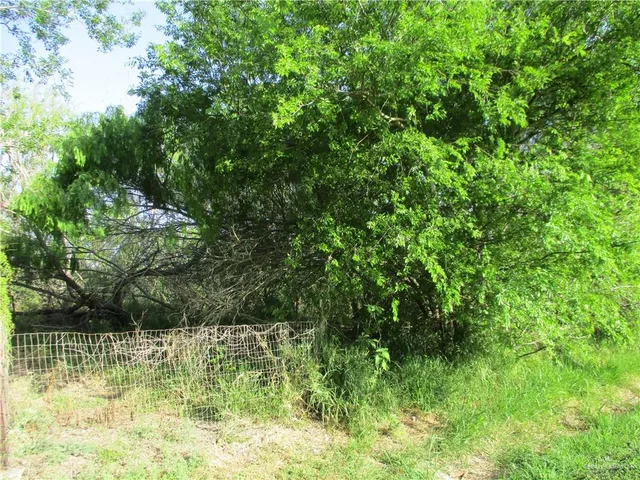 $120,000 | 0 West Cantu Road, Santa Rosa, TX 78593