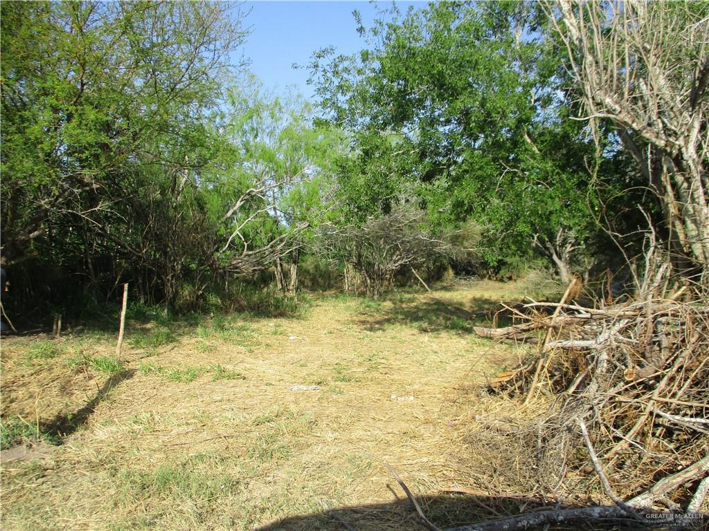0 West Cantu Road Santa Rosa, TX 78593 - Photo 2 of 2