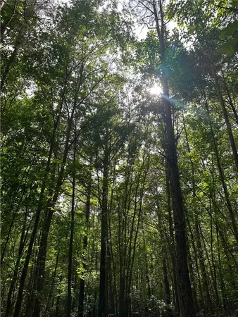 $350,000 | 209 Gale Drive, Pelzer, SC 29669