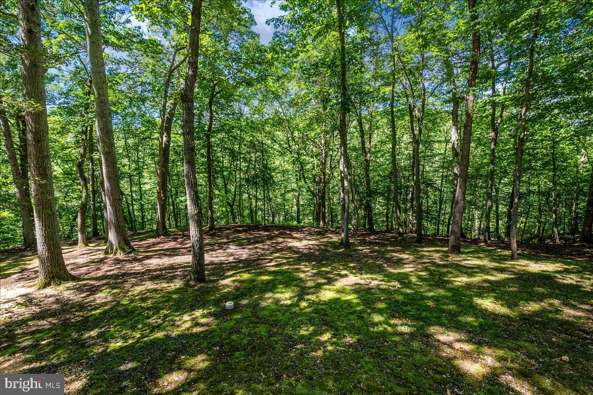 1900 Hidden Ridge Path Crownsville, MD 21032 - Photo 48 of 48 Backs to the Woods and Close to Annapolis!