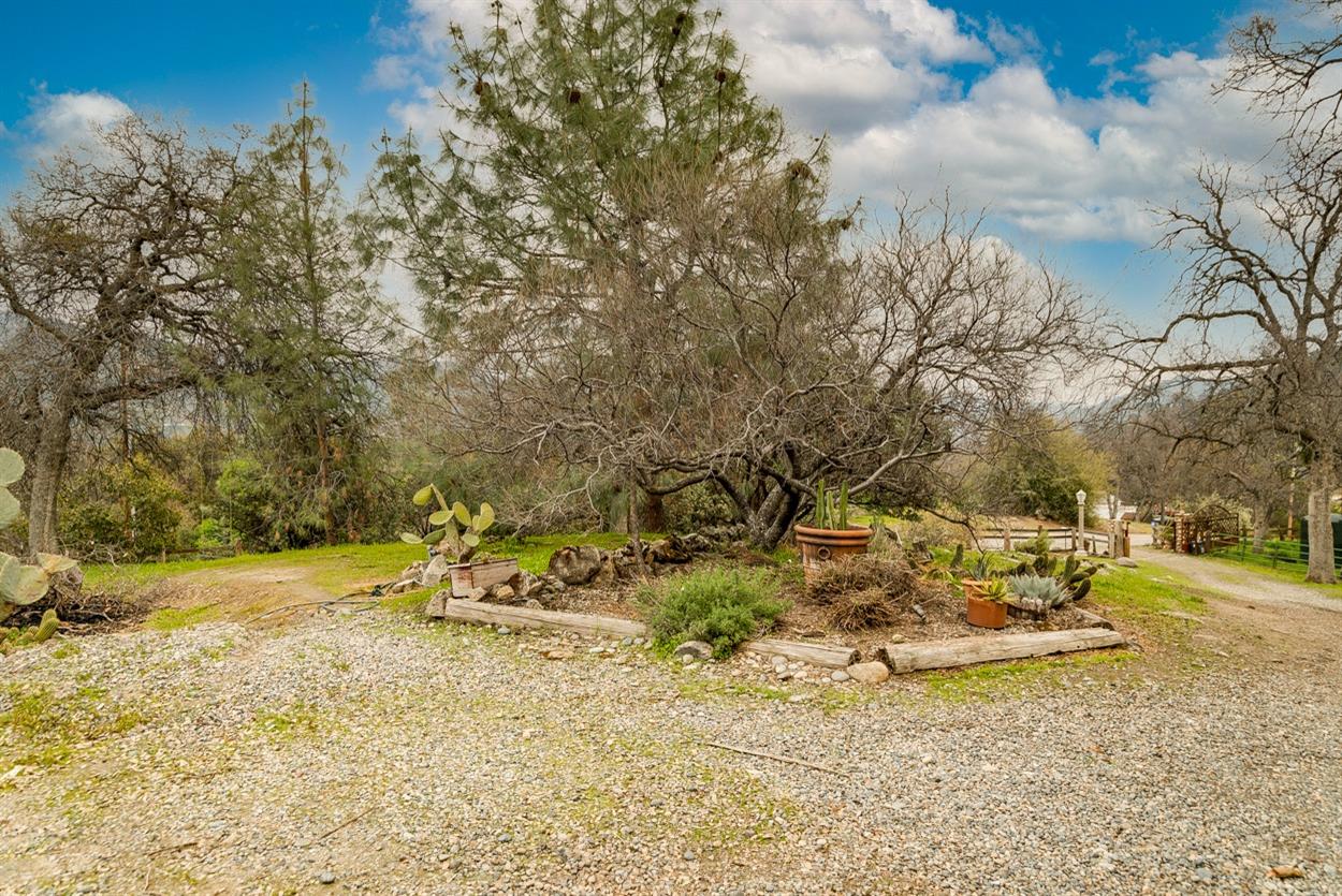 28252 Hitching Post Road Tollhouse, CA 93667 - Photo 25 of 38 Gallery Image 25