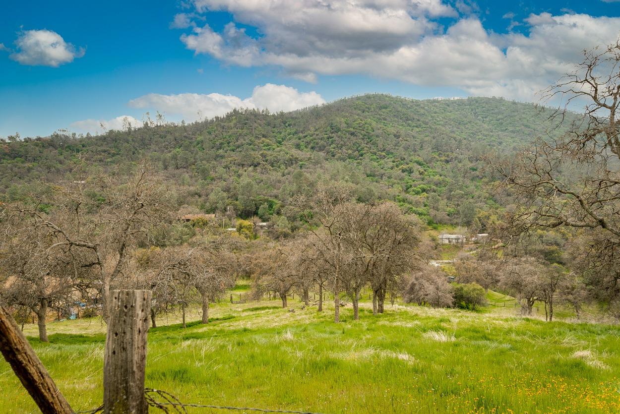 28252 Hitching Post Road Tollhouse, CA 93667 - Photo 27 of 38 Gallery Image 27