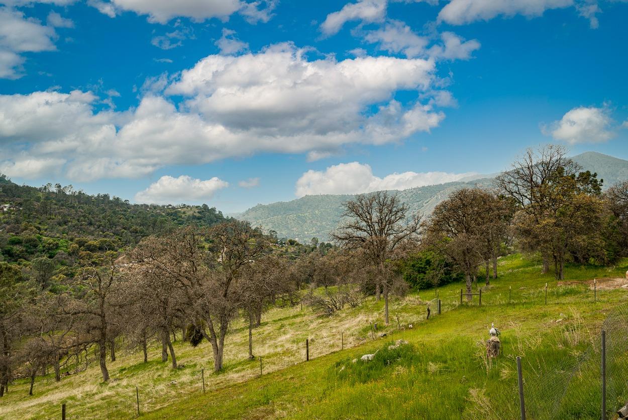 28252 Hitching Post Road Tollhouse, CA 93667 - Photo 29 of 38 Gallery Image 29