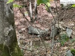 $25,000 | 134 Lower Snowbird Lane, Beech Mountain, NC 28604