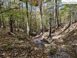 $25,000 | 134 Lower Snowbird Lane, Beech Mountain, NC 28604