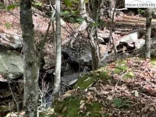 $25,000 | 134 Lower Snowbird Lane, Beech Mountain, NC 28604