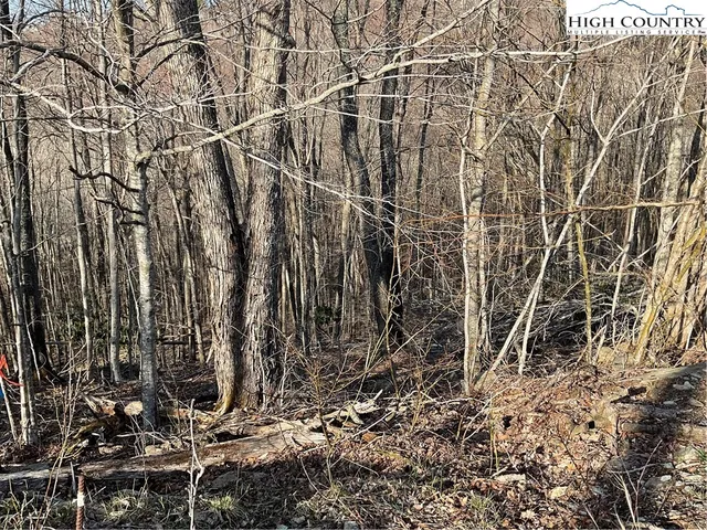 $25,000 | 134 Lower Snowbird Lane, Beech Mountain, NC 28604