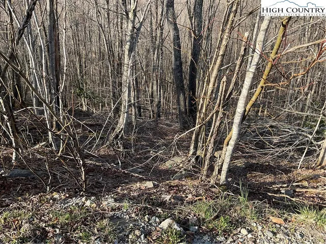 $25,000 | 134 Lower Snowbird Lane, Beech Mountain, NC 28604