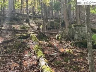 $25,000 | 134 Lower Snowbird Lane, Beech Mountain, NC 28604