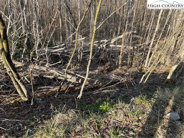 $25,000 | 134 Lower Snowbird Lane, Beech Mountain, NC 28604