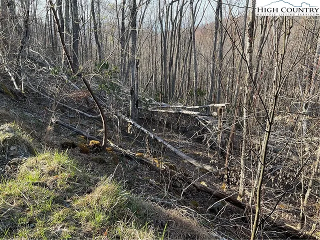 $25,000 | 134 Lower Snowbird Lane, Beech Mountain, NC 28604