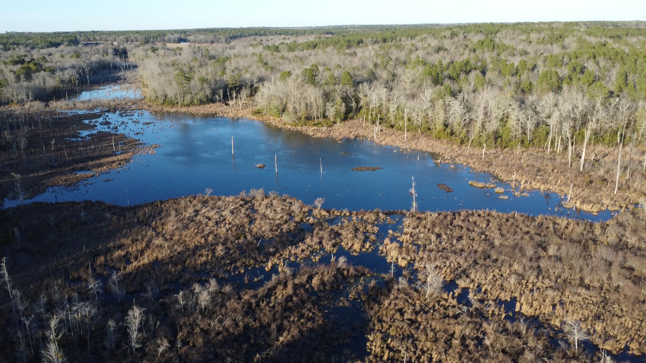 0 Millers Pond Road Salley, SC 29137 - Photo 17 of 28